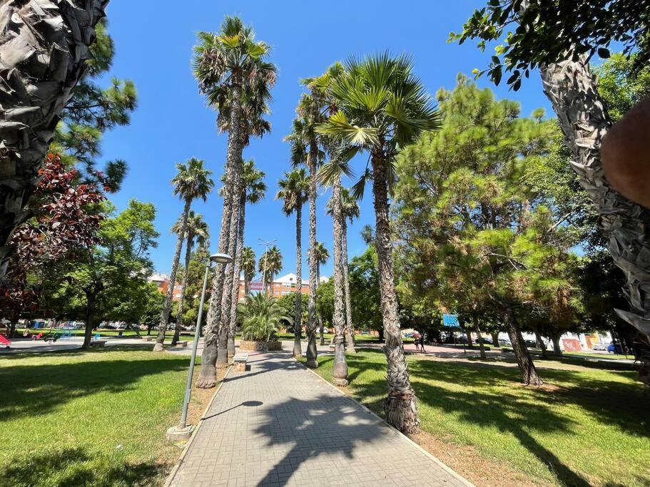 Sol Y Playa Costa Blanca Lägenhet Torrevieja Exteriör bild